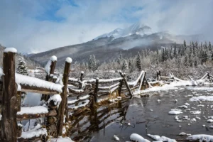 Colorado Co-op Country